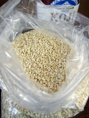 2012_04_28-koji