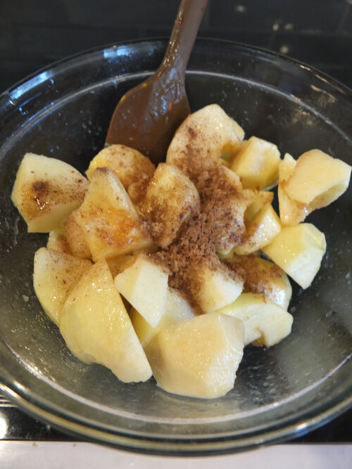 2025-09-21-applespringroll11