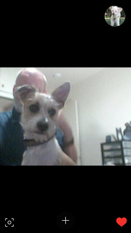 A5ECF5DA-7332-4751-9F1B-3CF4AE9C1DF8