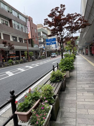 AF9D4D68-E9A3-41A8-B258-E659EA1B4D5D