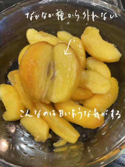 2023-07-05-peachpie7