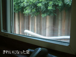 綺麗になった窓