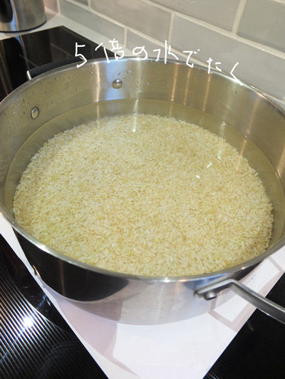 2019-08-17-brownrice7