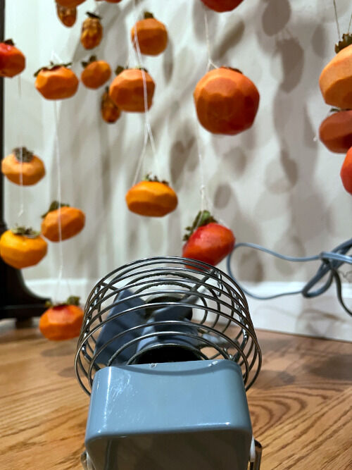 2025-12-03-hoshigaki12