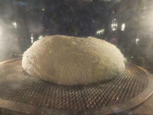 2026-04-13-sourbread6