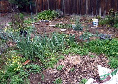 2014-03-02-garden1