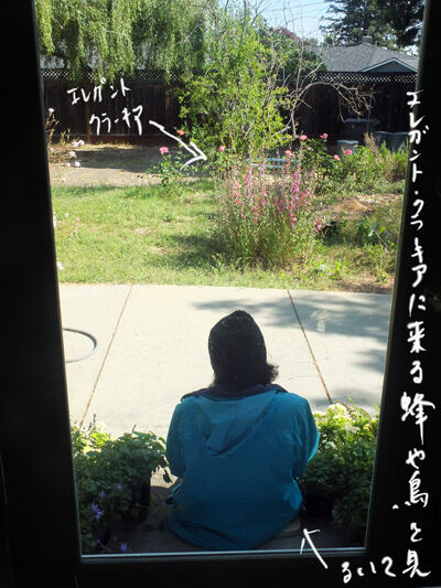 2024-05-14-skech2