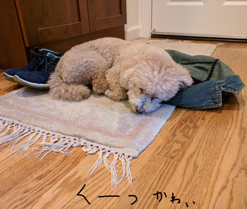 2019-06-20-an2