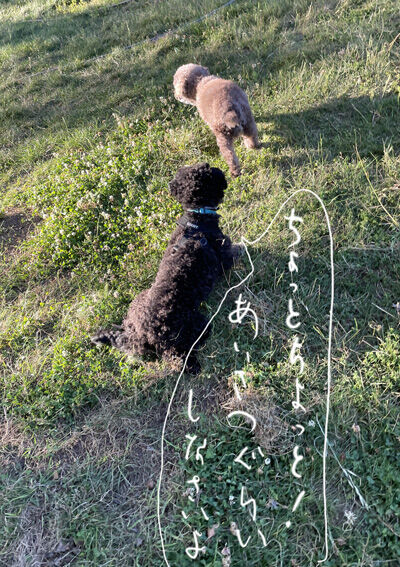 2022-06-10-judyandoreo2