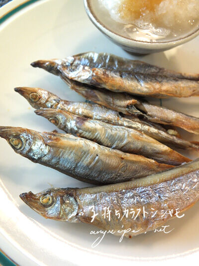 2020-12-21-fish3