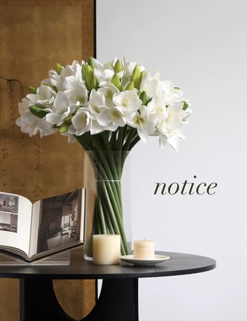 D1AEE1EE-376B-4F66-AA97-78E3B41C83CA