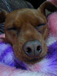 まさかまさかの コプリック斑 ちちち 疾風伝 まさかまさかの コプリック斑 ちちち 疾風伝