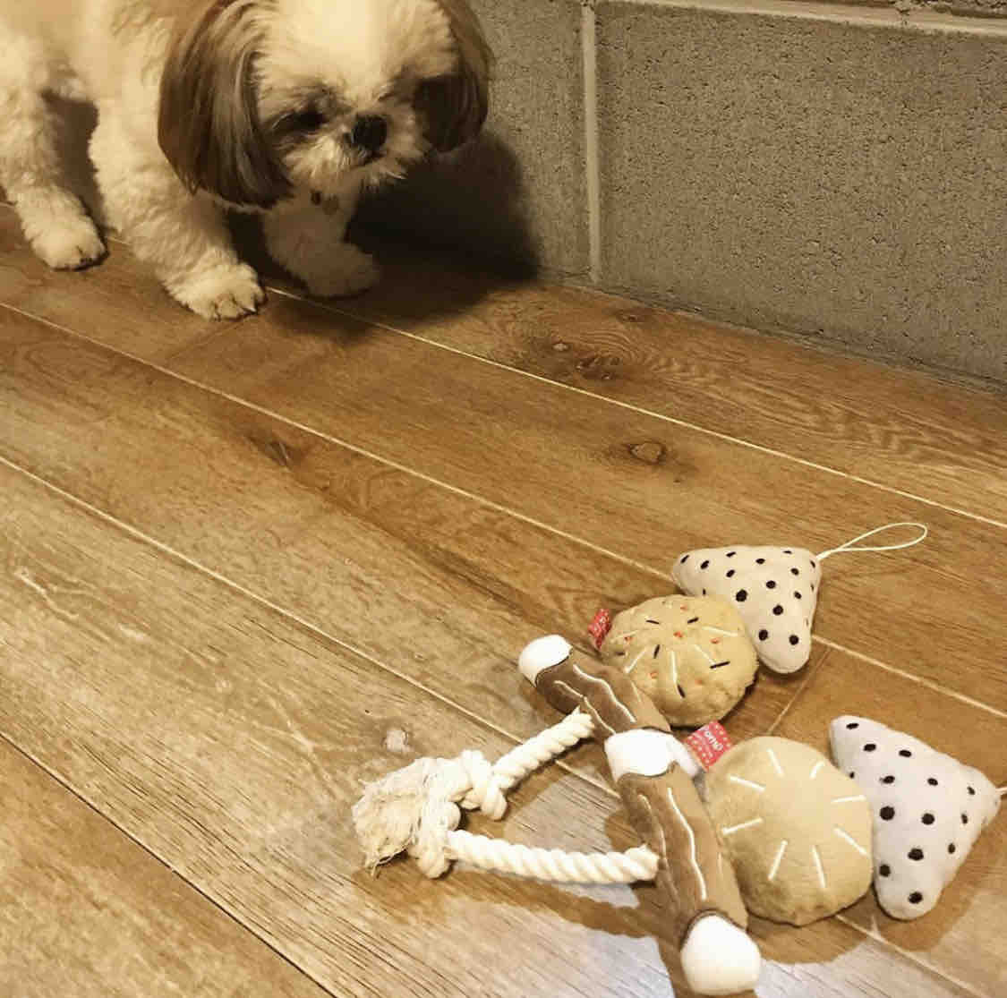 ちくわのおべんきょう Chicuwa Ganmoのhappy Life