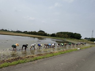 TAUE2-2