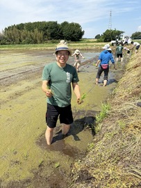 TAUE4