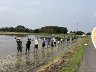 TAUE2-1