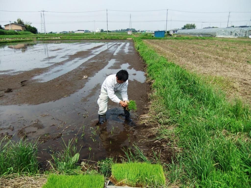 田植は手植えで! : 赤城南面の地中海