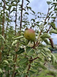 IMG_4812