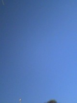 48d56181.jpg