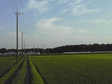 7cc008b2.jpg