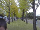 85ddc046.jpg