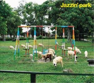 Jazzinpark-300x267