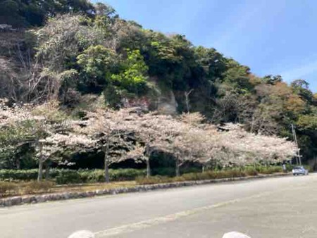 7BDD5F22-6AB3-456E-B30B-608357E8C11F