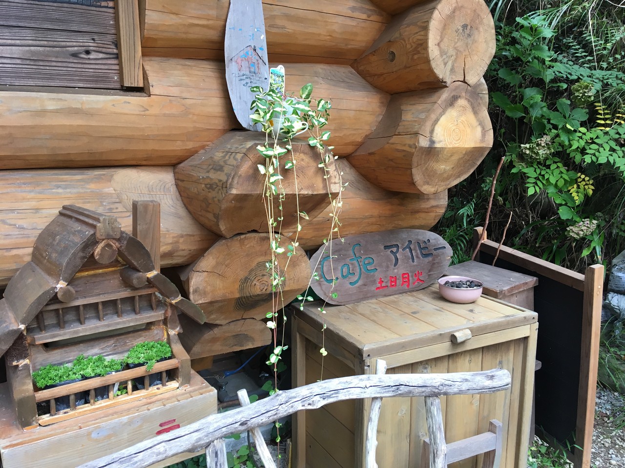 香美市土佐山田町 カフェ アイビー ちぃの至福の時間 香美市土佐山田町 カフェ アイビー ちぃの至福の時間
