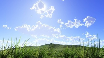 野と青空