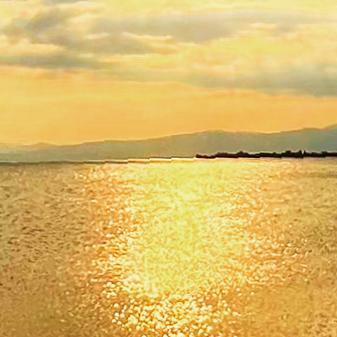 07482211-070B-4367-A85D-CF36A1F4FA2A