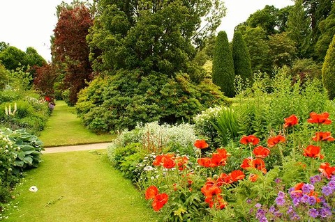 img884e635em9ilq7[1]