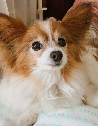 944F65D7-226F-4238-A83D-89108AEB194F