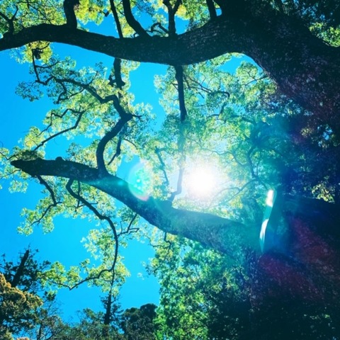 A0170D7F-92B8-4FDB-B9FE-4D945AC30FB5