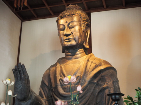 P7100926