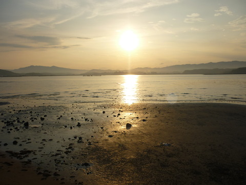 P1030361