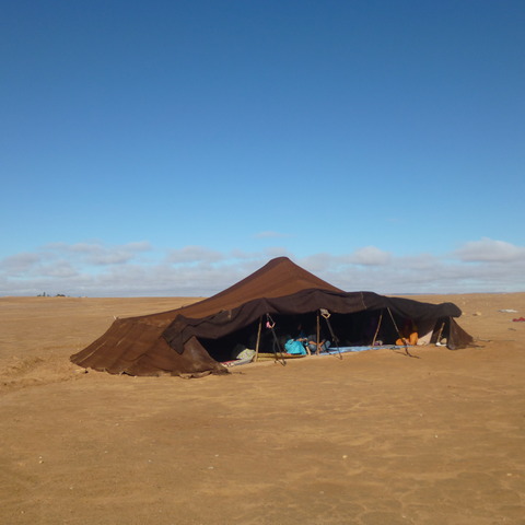 P1000586