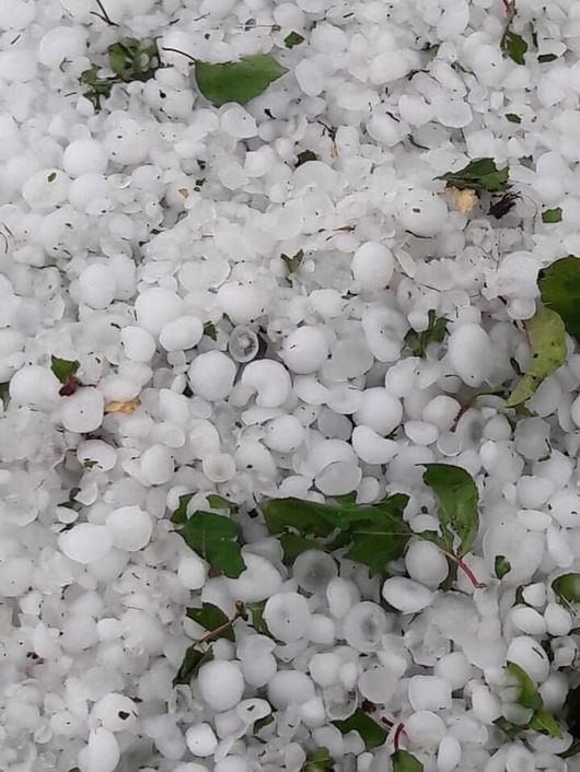 68537204_2860600890622280_7926506816446398464_n