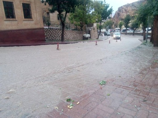 68756178_442993082980435_927246236199682048_n