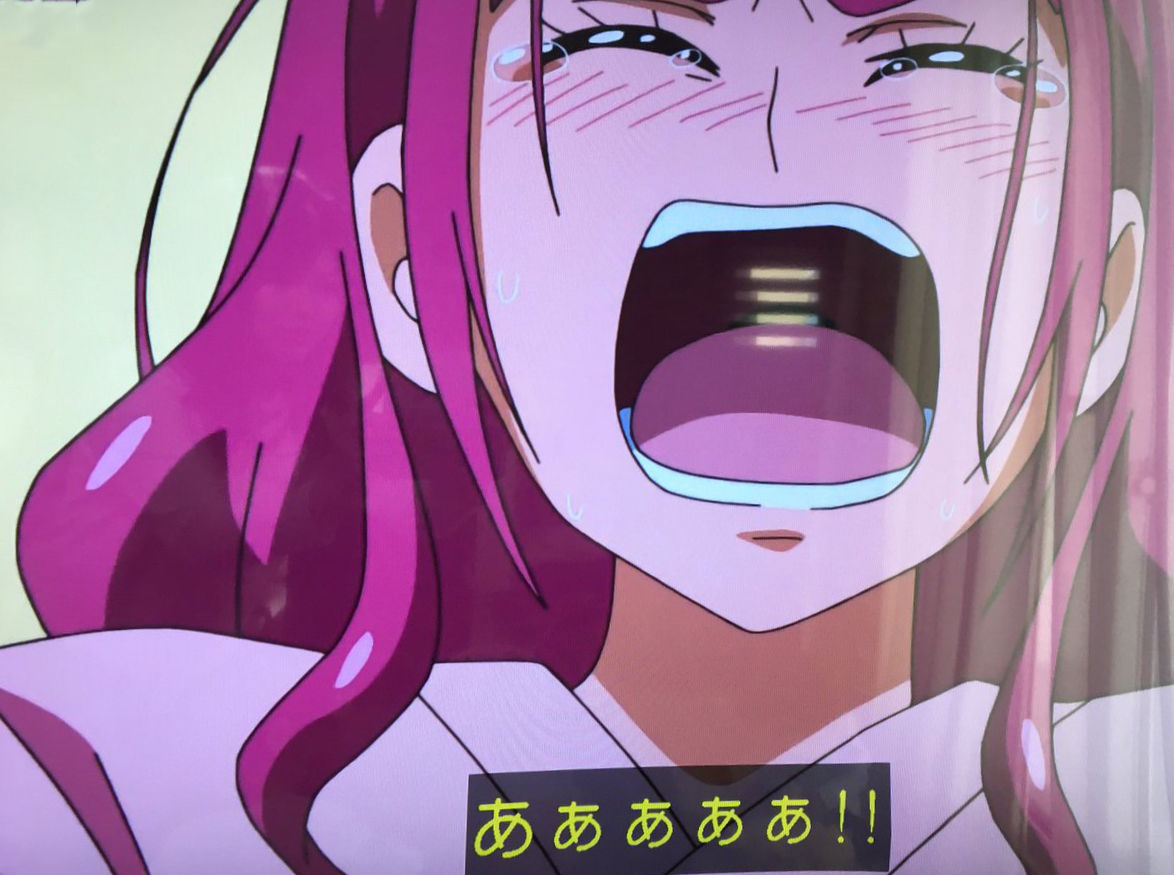 出産エンドで話題のプリキュア 大きいお友達 の反応がコチラw ちえぶくろ速報 出産エンドで話題のプリキュア 大きいお友達 の反応がコチラw ちえぶくろ速報