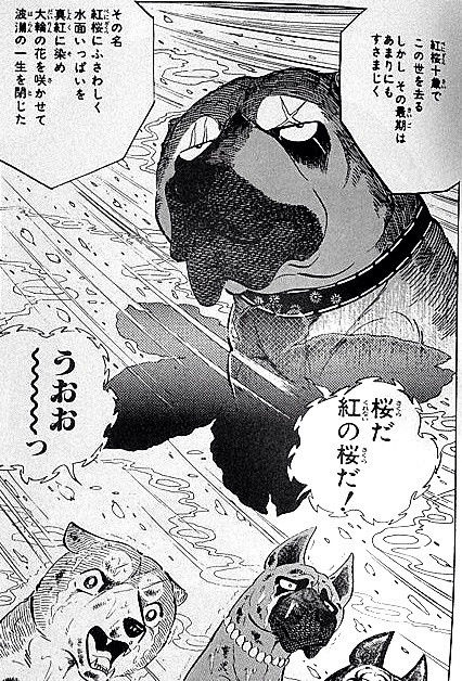 人気の 犬 漫画 銀牙 流れ星 銀 まさかの舞台化ｗｗｗ ちえぶくろ速報
