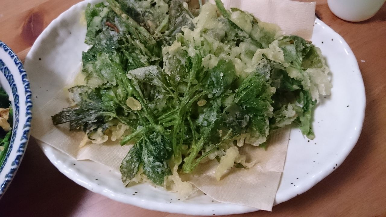 春の山菜 うこぎ チエママのブログ