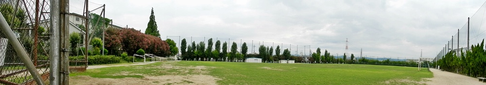ed8cff40.jpg
