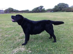 photo (2)