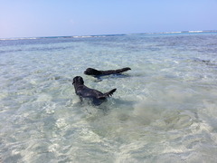 20130421_085617