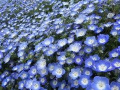 IMG_3955