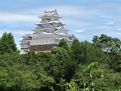 IMG_5348
