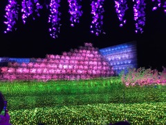 IMG_5057