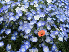 IMG_3893