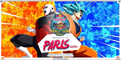 dbfz-paris