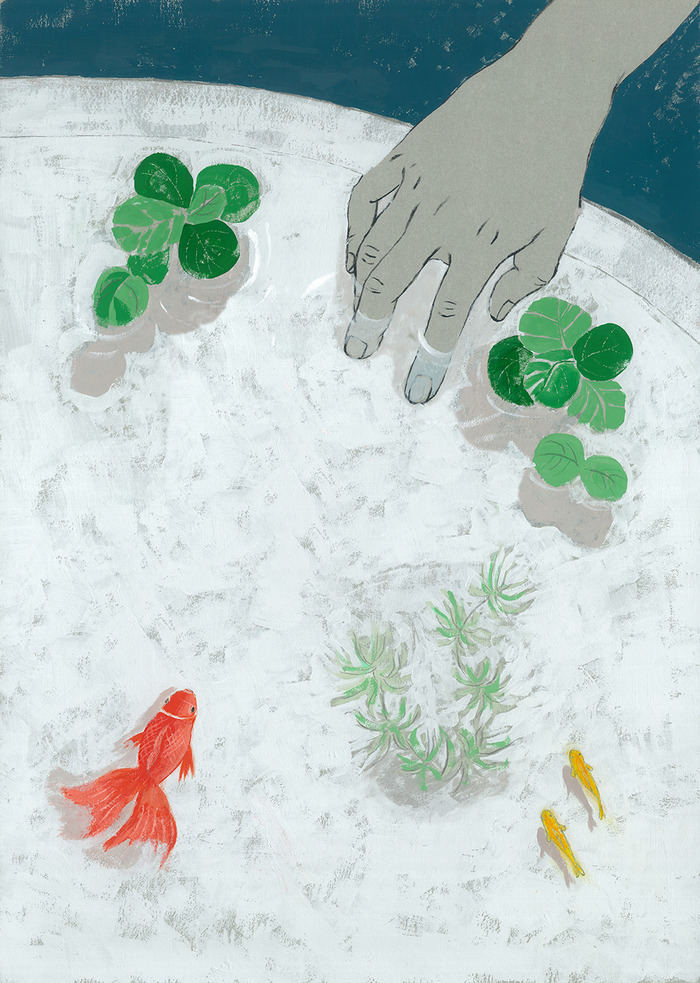 金魚綺麗居ない_03